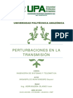 Perturbaciones de La Transmisión