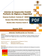 Informe de Inspección Comité Paritario de Higiene y Seguridad