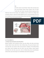 Pengertian, Bagian, Fungsi dan Cara Kerja Hidung