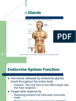 Chapt26 - Lecture Endocrine