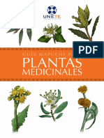 Guia Mapuche Para Plantas Medicinales.pdf