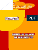 DESARRROLLOAREAMOTRIZPRIMERANO.pdf