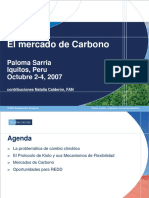 Mercado de Carbono