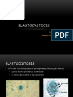 2 - Blastocystocis CORREGIDO