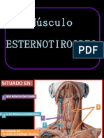 Esternotiroideo