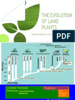 Evolution of Land Plants