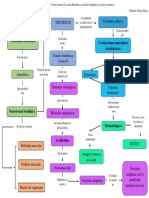 Mapa Conceptual. Neu