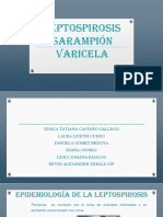 Leptospirosis Sarampión Varicela