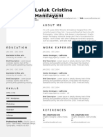 Professional Resume v2