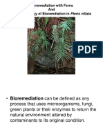 【OREGON】 ARPR2011 | PDF | Fern | Plants