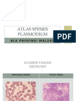 Atlas Spesies Plasmodium