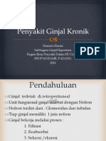 Penyakit Ginjal Kronik