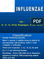 Virus Influenzae - EFRIDA