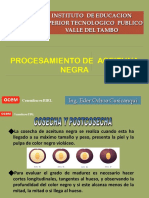 Procesamiento Aceituna Negra Ocem