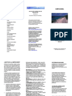 Estructura Divisional de Apa PDF