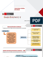 02 - Definición de Discapacidad Severa