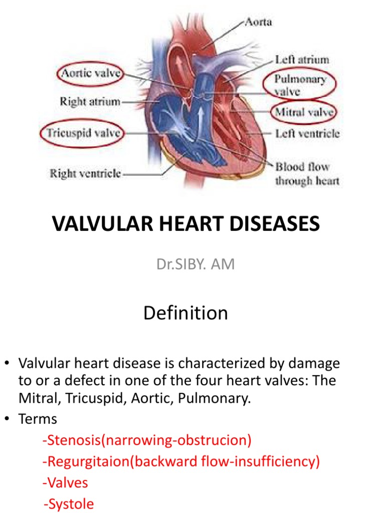 Overview of Valvular Heart Disease | PDF | Heart Valve | Heart