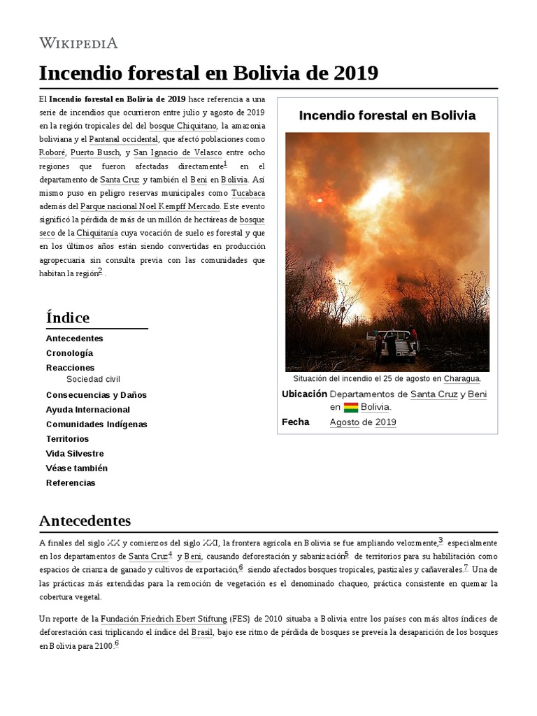 Incendio Forestal en Bolivia de 2019 PDF Bolivia Deforestación