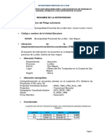 Resumen de La Intervencion Torobamba