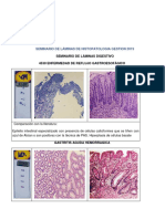 Seminario de Digestivo 1