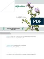 Weed Identification.pdf