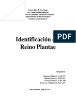 Reino Plantae - Con Flor - Idiomas Extranjeros