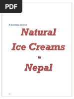 Naturals BusinessPlan PDF