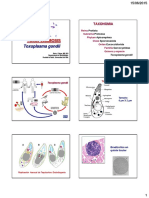 1.Toxoplasmosis