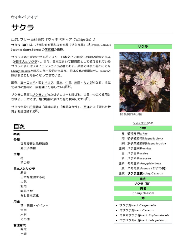 サクラ Pdf