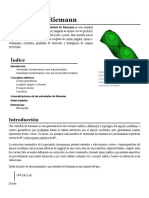 Variedad de Riemann