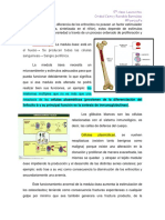 FP - Clase 5. Leucocitos