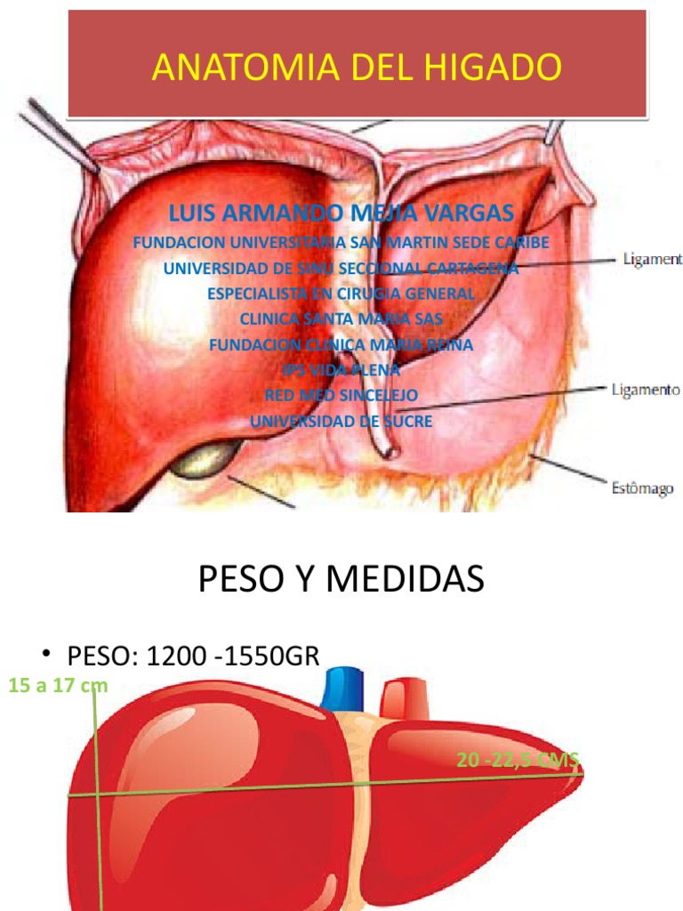 h2mKmN4DRngAC9AfyT09 632.541.383-09 (1) - Anatomia I