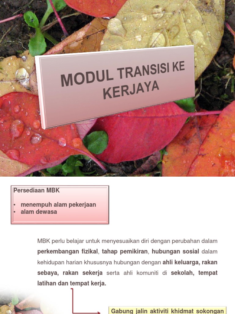 Program Transisi Kerjaya Untuk Mbk Pdf Karier And Perkembangan 