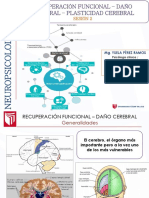 35884_7000810043_04-09-2019_000633_am_CLASE_02_RECUPERACION_DE_DAÑO_CEREBRAL