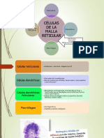 Células de La Malla Reticular