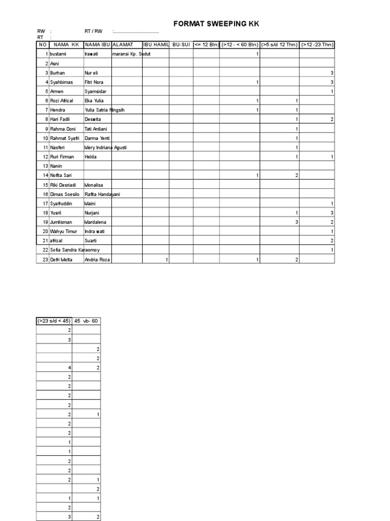 KK Format Data for Pregnant Women | PDF