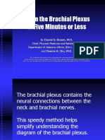 Brachial Plex How To