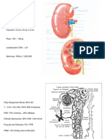 FSL Renal