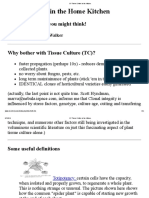 CP Tissue Culture in The Kitchen