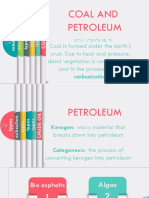 Coal and Petroleum