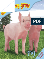 DK See How They Grow - Pig (2007) PDF