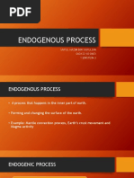 Endogenous Process