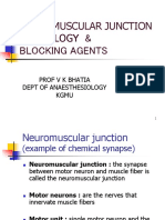 Neuromuscular Junction Physiology & Blocking Agents: Prof V K Bhatia Dept of Anaesthesiology Kgmu