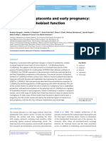 Vitamin D, The Placenta and Early Pregnancy: Effects On Trophoblast Function