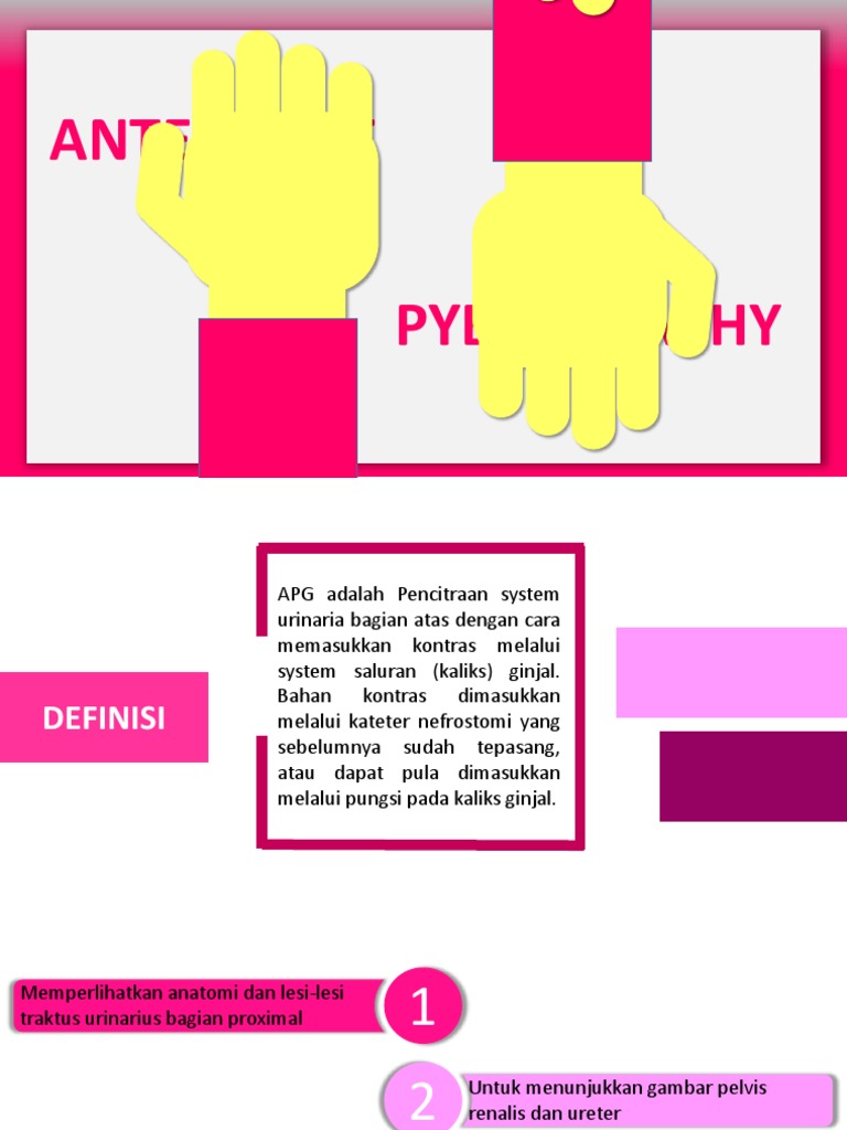 Teknik Antegrade Pyelography APG | PDF