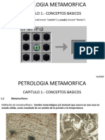 01 Ant Hist Metamorfis Sem-En-Jun-19 PE