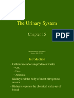 The Urinary System: Human Anatomy, 3rd Edition Prentice Hall, © 2001