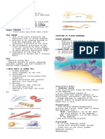 Cells: Structure and Functions