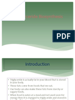 Triglyceride Biosynthesis My