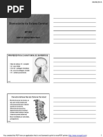 Aula 12 Biomecânica Da Coluna Cervical 2016 X